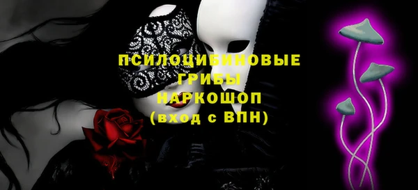 spice Краснослободск