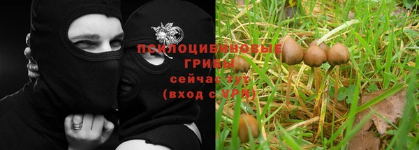 spice Краснослободск